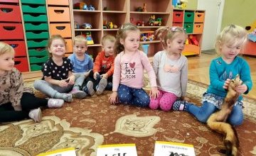 Krasnale i zwierzęta jesienią